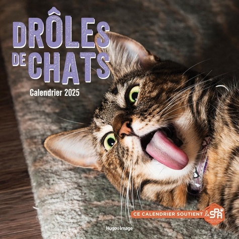 Calendrier mural Drôles de chats. Edition 2025