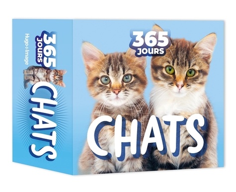 Chats. Edition 2025