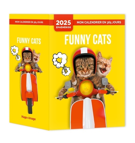 Funny cats. Edition 2025