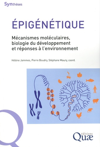 Epigénétique. Mécanismes moléculaires, biologie du développement et réponses à l'environnement