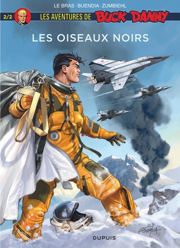 Les aventures de Buck Danny : Les oiseaux noirs. Tome 2