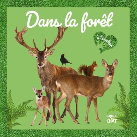 Dans la forêt