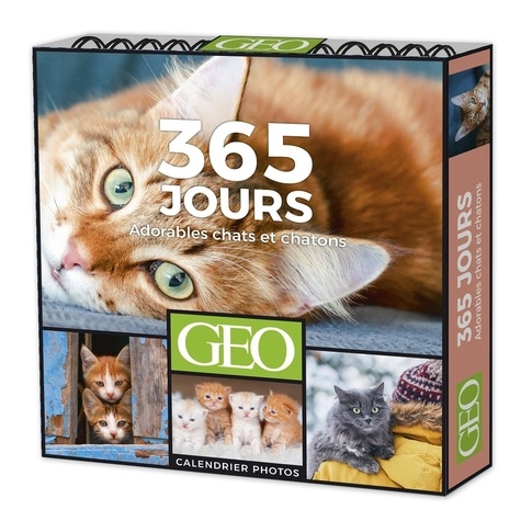 365 jours adorables chats et chatons