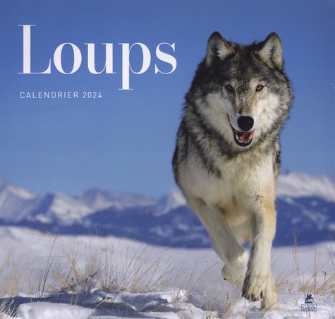 Calendrier loups. Edition 2024