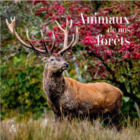 Calendrier animaux de nos forêts. Edition 2024