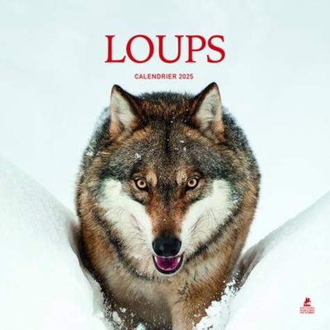 Calendrier loups. Edition 2025