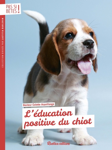 L'éducation positive du chiot