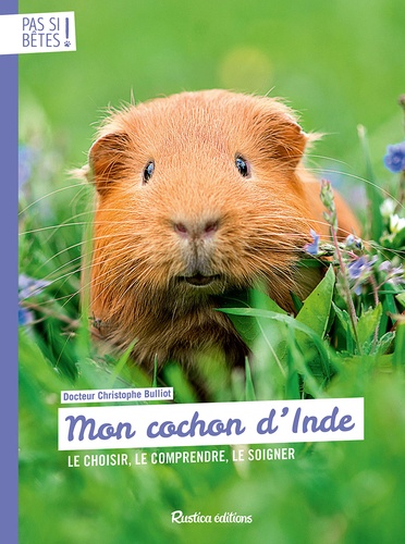 Mon cochon d'Inde. Le chosir, le comprendre, le soigner