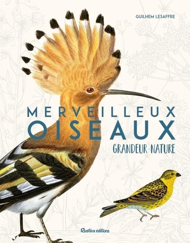 Merveilleux oiseaux. Grandeur nature