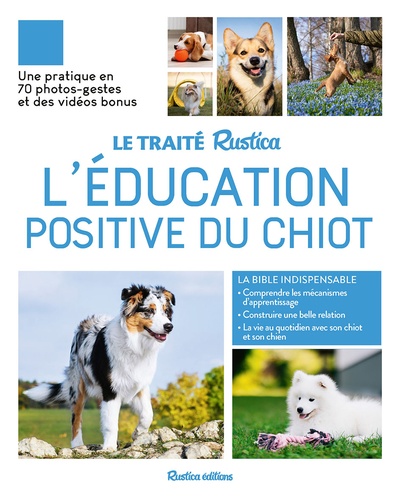 L'éducation positive du chiot