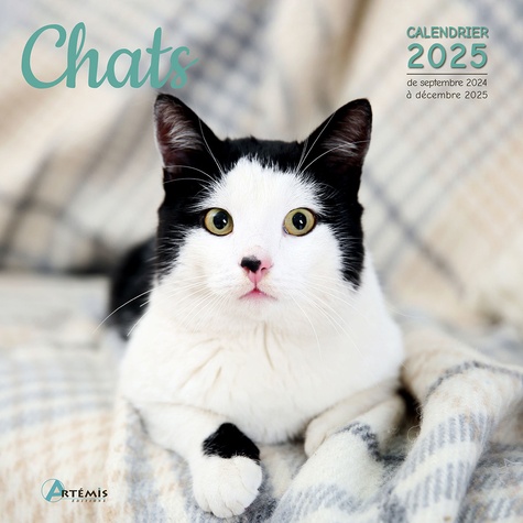 Chats. Calendrier de septembre 2024 à décembre 2025, Edition 2025
