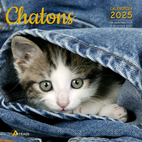 Chatons. Calendrier de septembre 2024 à décembre 2025, Edition 2025