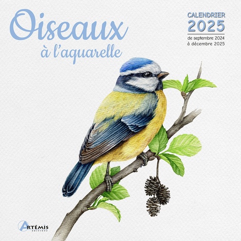 Oiseaux à l'aquarelle. Calendrier de septembre 2024 à décembre 2025, Edition 2025