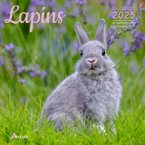 Lapins. Calendrier de septembre 2024 à décembre 2025, Edition 2025