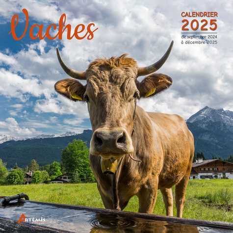 Vaches. Calendrier de septembre 2024 à décembre 2025, Edition 2025