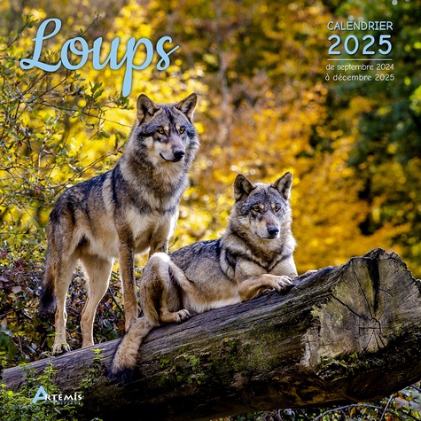 Loups. Calendrier de septembre 2024 à décembre 2025, Edition 2025