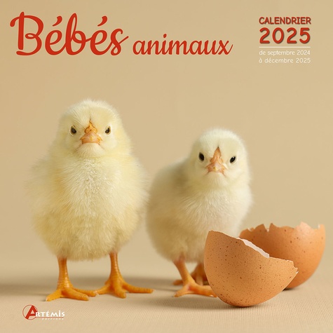 Bébés animaux. Calendrier de septembre 2024 à décembre 2025, Edition 2025