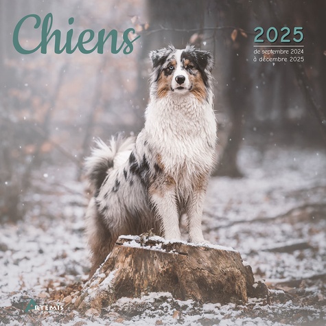 Chiens. Calendrier de septembre 2024 à décembre 2025, Edition 2025