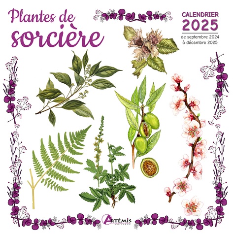 Plantes de sorcière. Calendrier de septembre 2024 à décembre 2025, Edition 2025