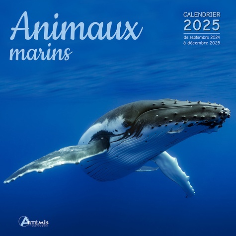 Animaux marins. Calendrier de septembre 2024 à décembre 2025, Edition 2025