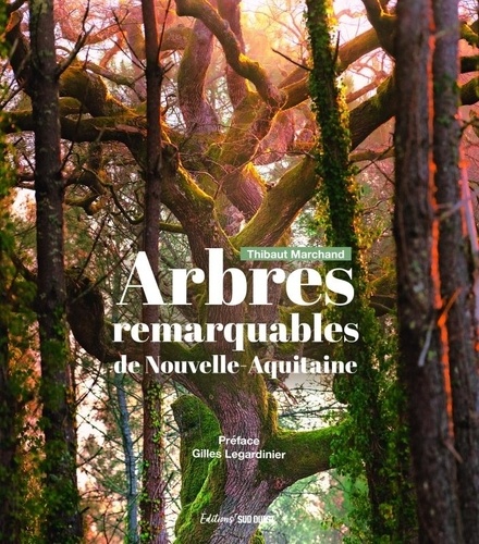 Arbres remarquables de Nouvelle-Aquitaine