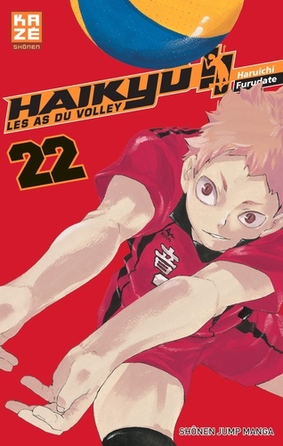 Haikyu !! Les As du volley Tome 22 : Terre contre ciel