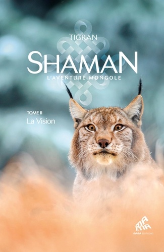 Shaman Tome 2 : La Vision