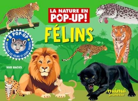 Félins