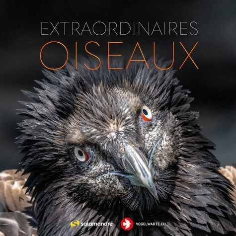 Extraordinaires oiseaux