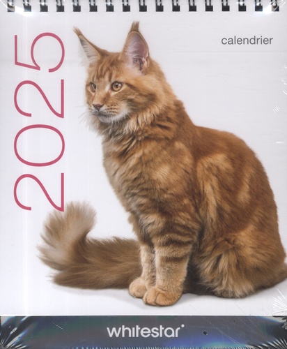 Calendrier de table Chats. Edition 2025