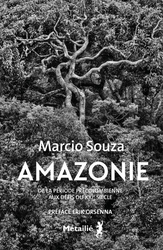 Amazonie. De la période précolombienne aux défis du XXIe siècle