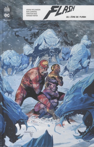 Flash rebirth Tome 10 : L'ère de flash