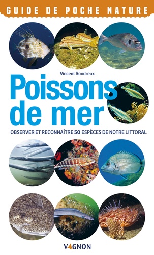 Poissons de mer. Observer et reconnaître 50 espèces de notre littoral