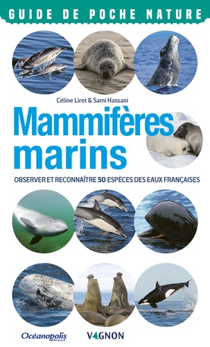 Mammifères marins