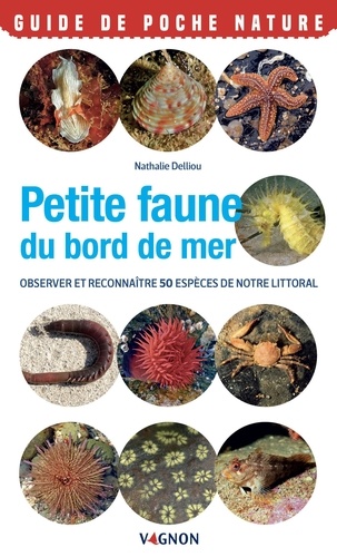 Petite faune du bord de mer. Observer et reconnaître 50 espèces de notre littoral