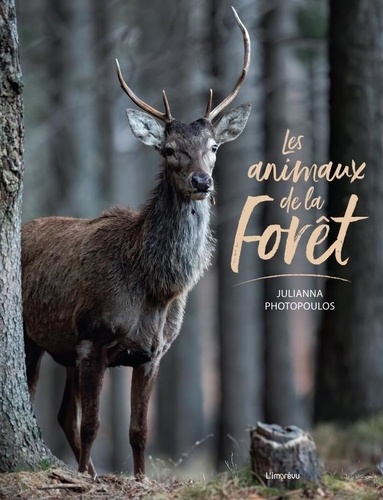 Les animaux de la forêt