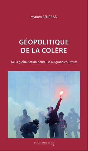 Géopolitique de la colère. De la globalisation heureuse au grand courroux, 2e édition revue et corrigée