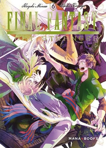 Final Fantasy Lost Stranger Tome 6