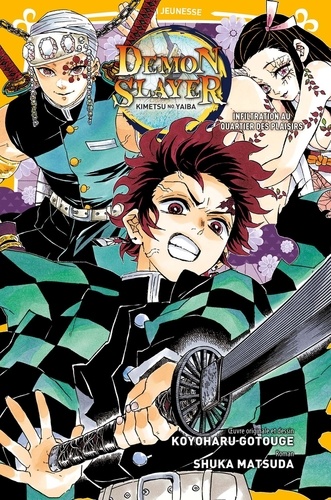 Demon Slayer Roman Tome 4 : Infiltration au quartier des plaisirs