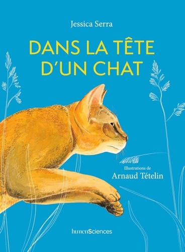 Dans la tête d'un chat