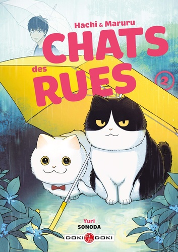 Hachi & Maruru, chats des rues Tome 2 : Avec 1 planche de stickers