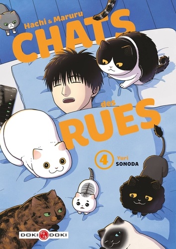 Hachi & Maruru, chats des rues Tome 4