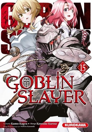 Goblin slayer Tome 13